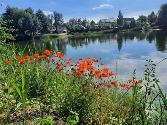 Forteca, Pokoje Goscinne Nad Stawem Dzierzoniow Luaran gambar